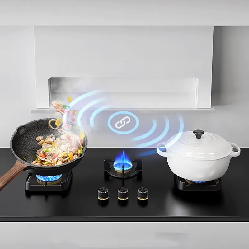 Built in 3 Burner Gas Stove wi - đánh giá và giá Kitchen Appliances Luxury
